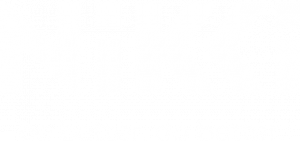 nikki light logo